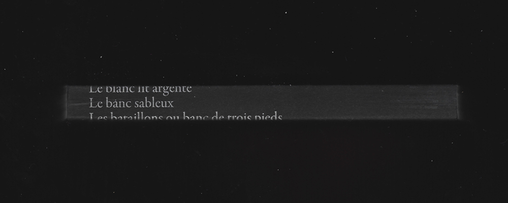KATA|Les fleurs, Les moutons ··· Les basse urines, Les fusils|2025